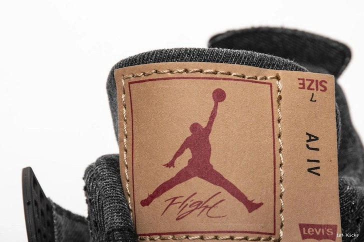 AO2571-001 Black Denim 4 Jordan Levi's Air 1101